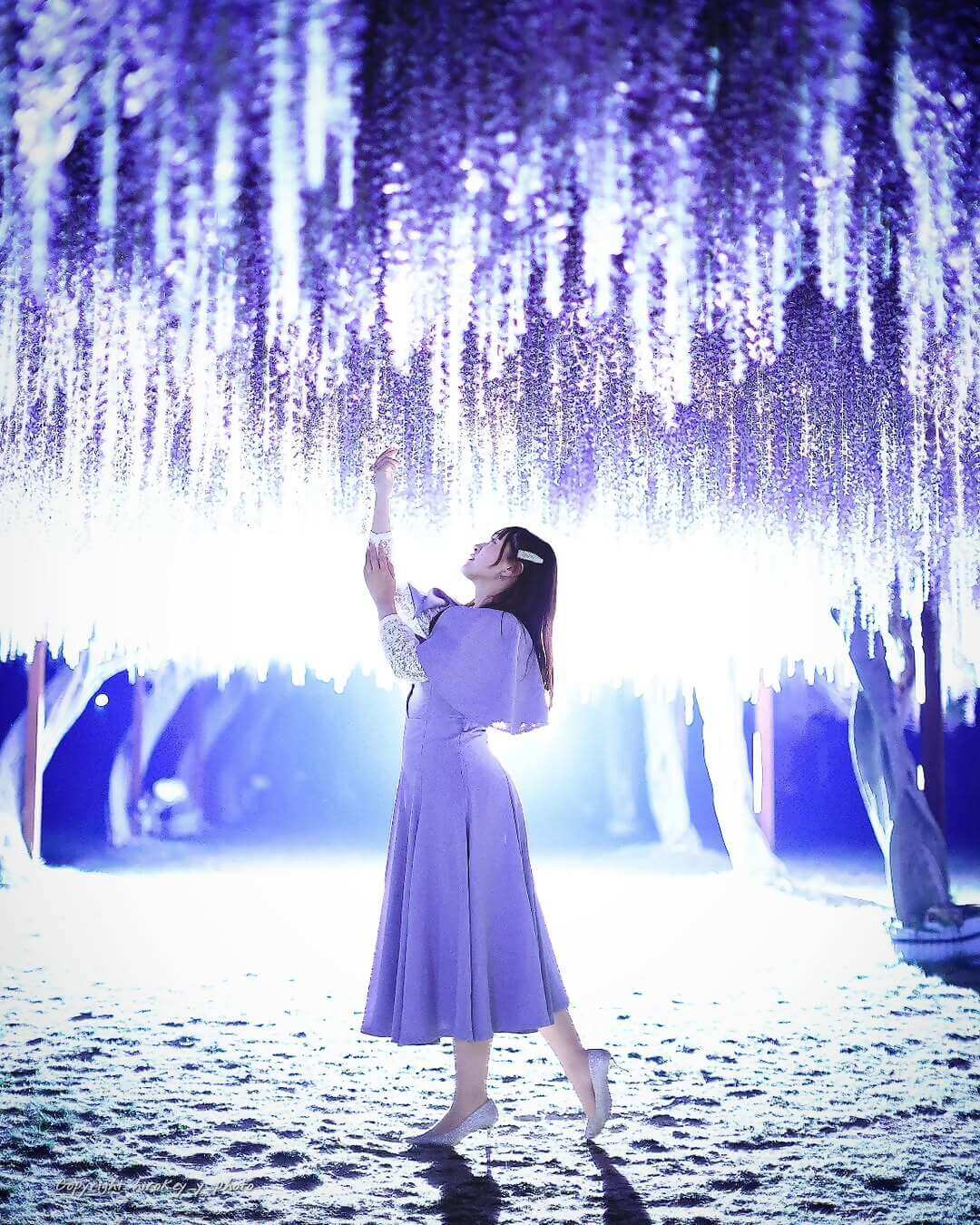 和気町藤まつりInstagramフォトコンテスト入選の写真